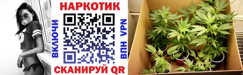 Как найти закладки Набережные Челны МАРИХУАНА  Кокаин  Гашиш  Метамфетамин  Меф  СК 
