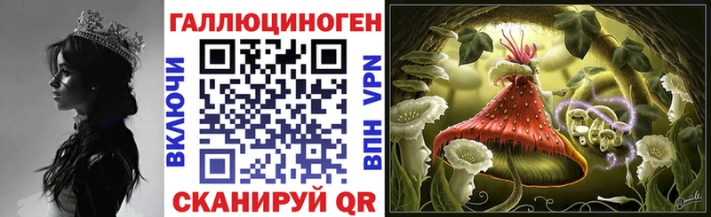 что такое   Набережные Челны  Галлюциногенные грибы мицелий 